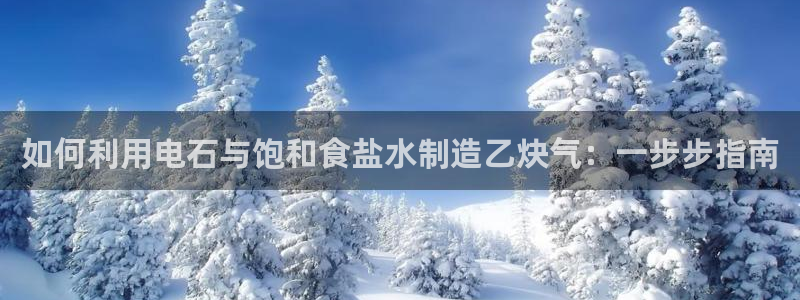 威九国际网站客服电话多少