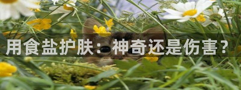 威九国际78m78