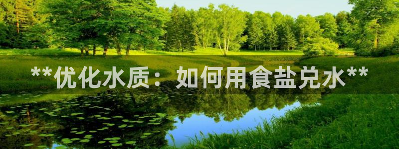 威九国际清砖码头在哪