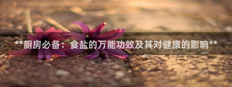 保定威九网络科技有限公司怎么样