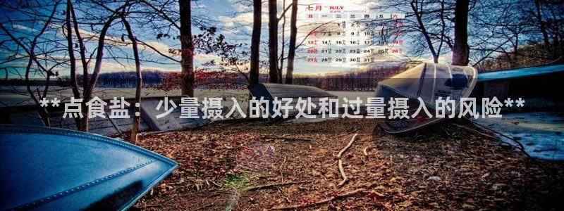 威九国际的金融服务有哪些