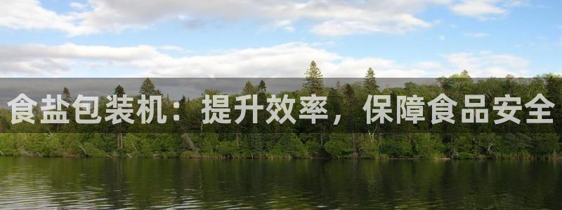 威九国际fX8x