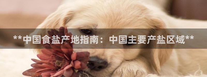 威九国际在线平台怎么样啊