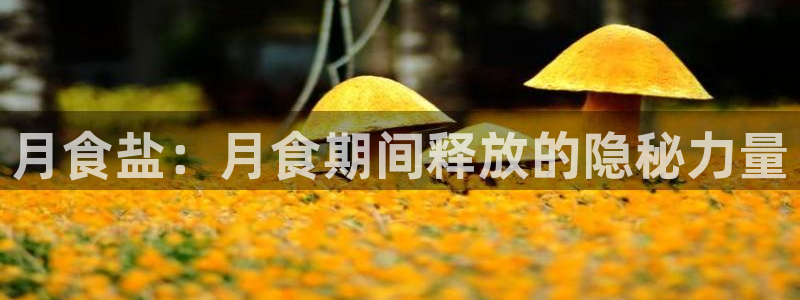 威九国际旗下艺人