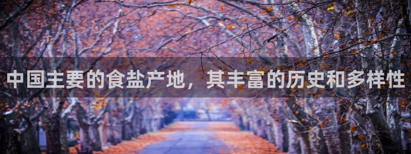 威九国际官网版