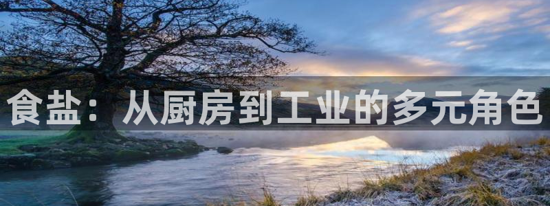 威九国际客服电话号码是多少