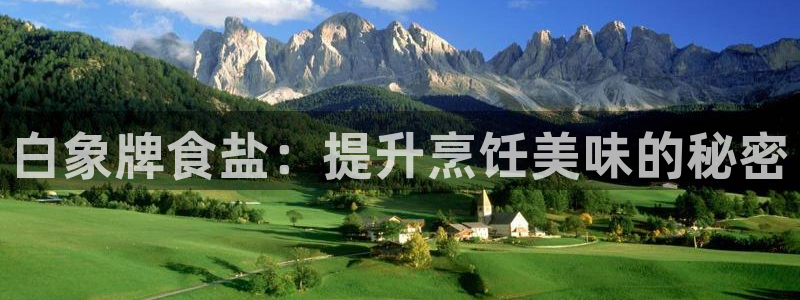 威九国际APP那个地方