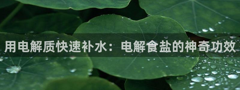 威九国际可以退钱吗怎么退的