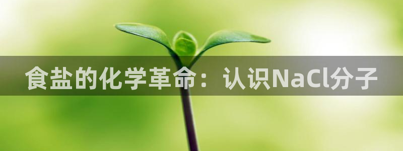 威九国际v96bet下载