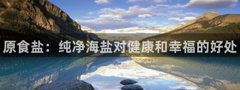 威九国际官方入口官网