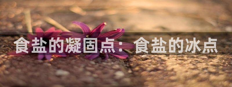 威九国际取款多到账