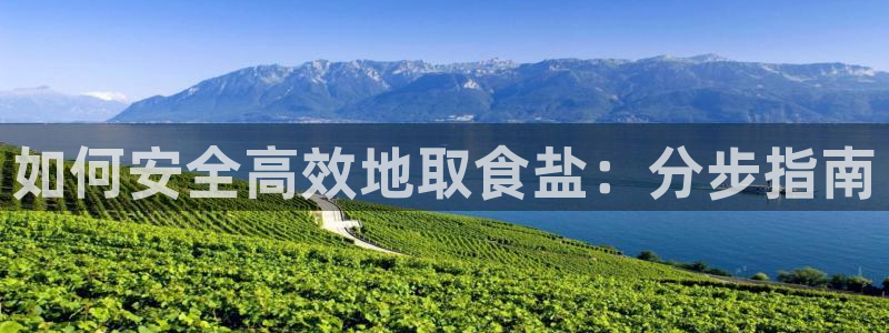 威九国际精选