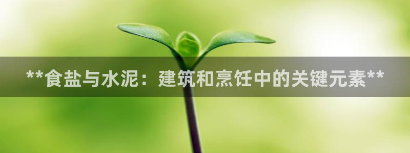 威九国际空降服务女演员叫什么名字