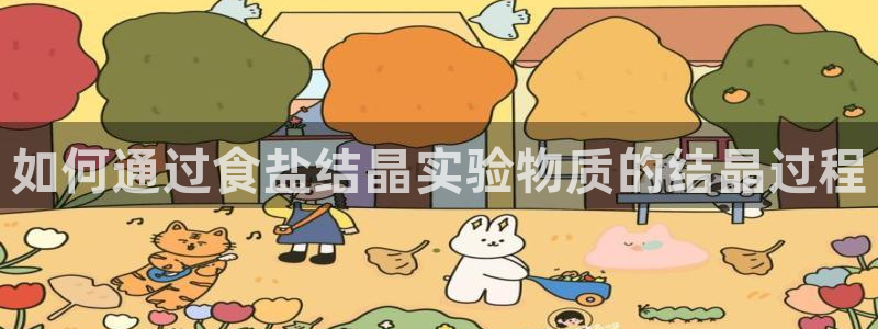 威九国际可以退钱吗怎么退