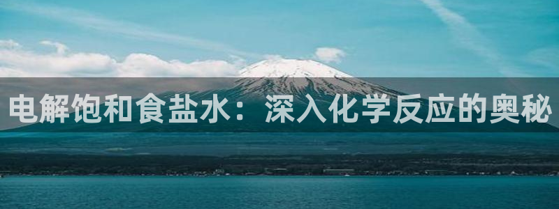 威九国际X8