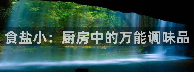 威九国际app哪个地方