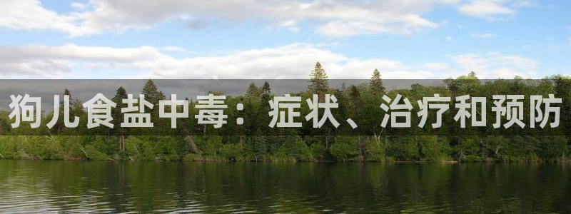 威九国际78mB官网版
