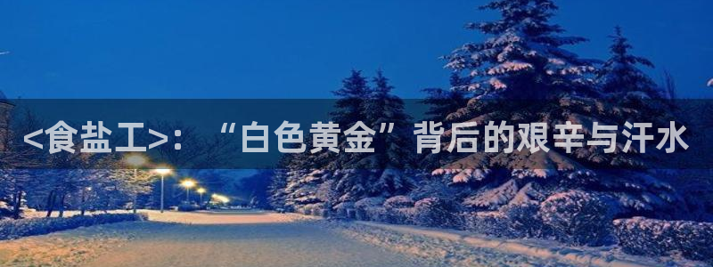 威九国际网站传媒招聘