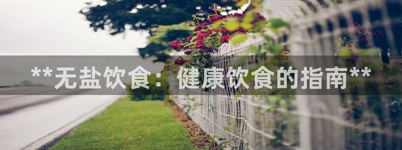 威九国际66m66官网