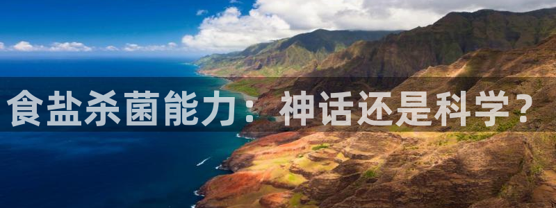 威九国际mm