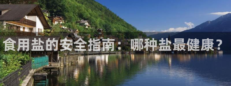 威九国际网站入口官网免费