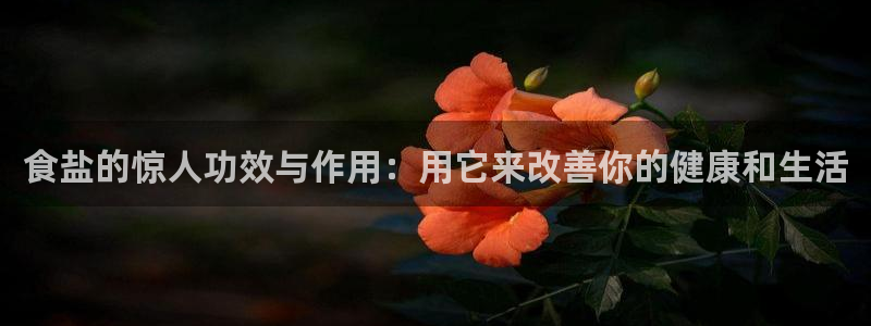 威九国际66m免费版