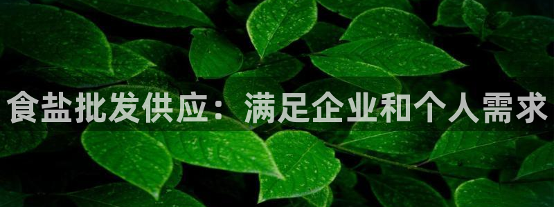 威九国际FF