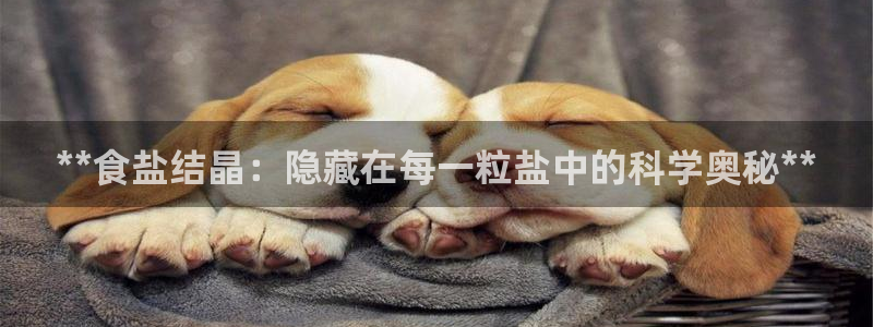 威九国际热舞