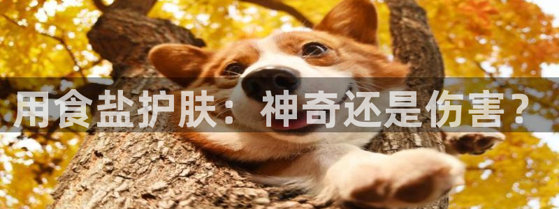 威九国际78m78免费
