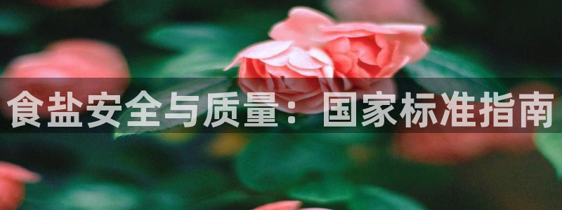 威九国际合作伙伴有哪些