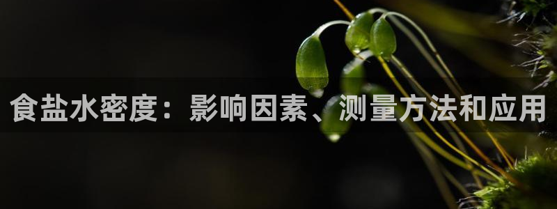 威九国际v96BET