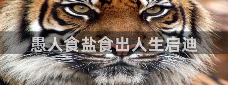 威九国际78mb下载