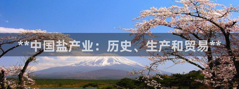 保定威九网络科技有限公司招聘