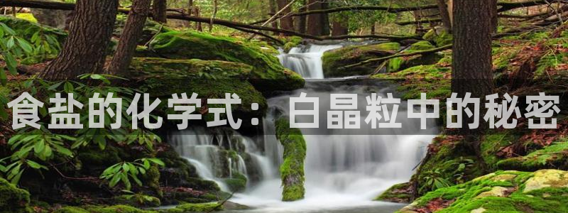 威九国际m78