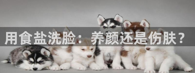 威九国际精忐