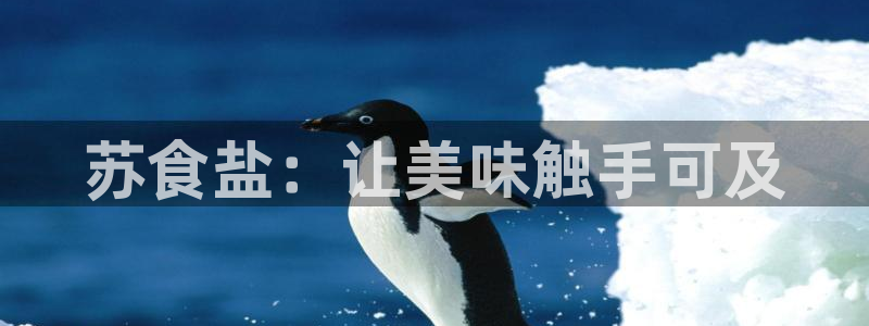 威九国际免费进入