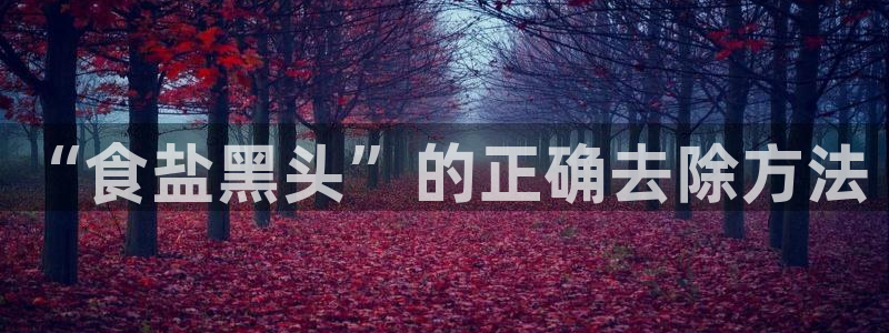 78mapp威九国际网