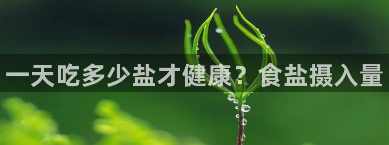 威九国际网站经常打不开网页