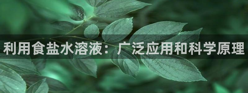 威九国际w98