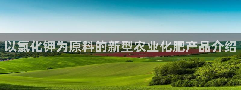 威九国际网站怎么样可靠吗