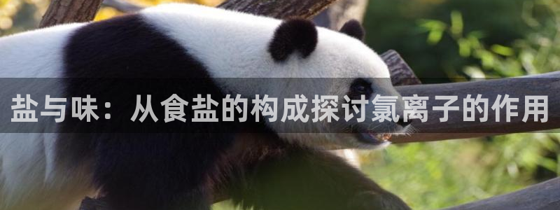 威九国际免费进入
