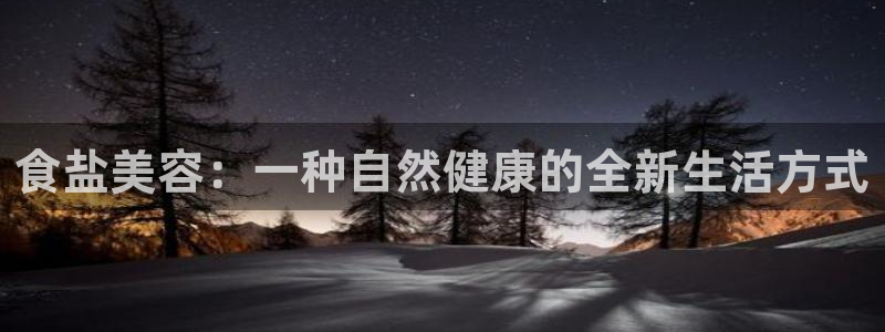 威九国际软件公司简介
