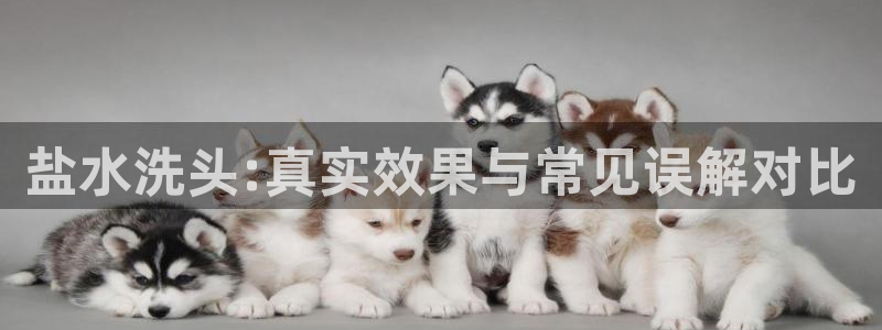 威九国际网站经常打不开