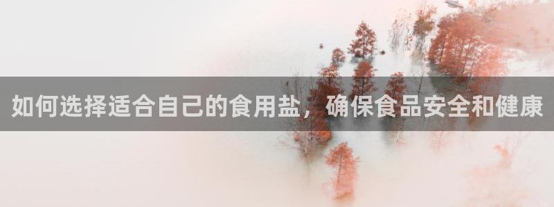 威九国际ppt免费下载