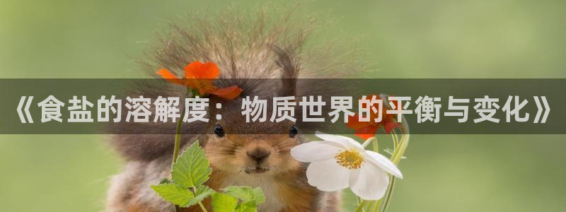 威九国际网站进入客服中心了吗
