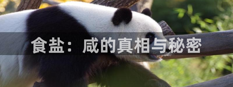 威九国际网站怎么样