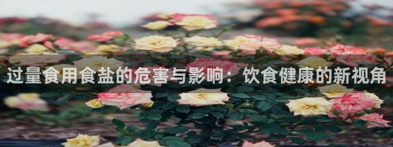 威九国际小剧场