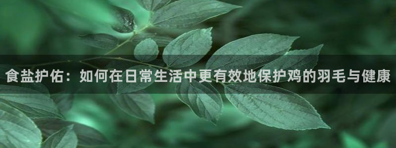 威九国际人民网