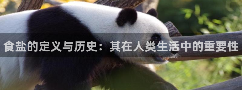 威九国际FF