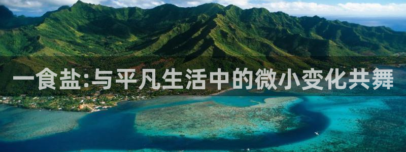 威九国际的金融服务有哪些